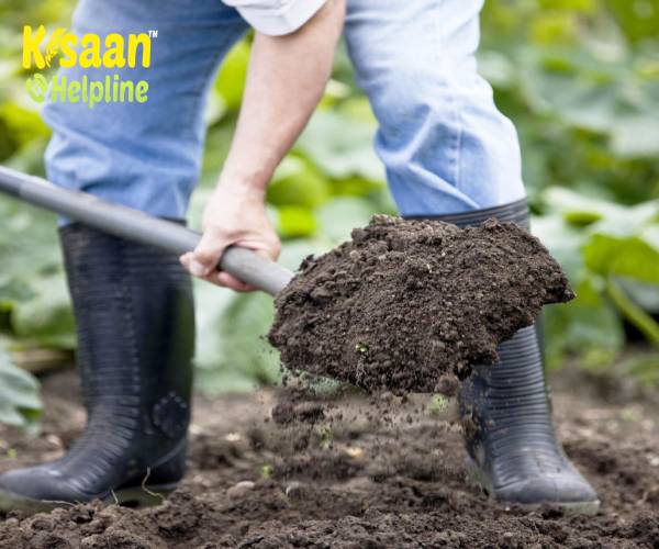 कम्पोस्ट बनाने का सरल तरीका  कम्पोस्ट बनाने का सरल तरीका